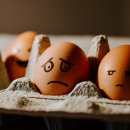 진가식품 이미지