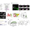 NATURE(네이처)PC 이미지