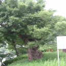 청구약수터 이미지