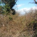 서광리-5 이미지