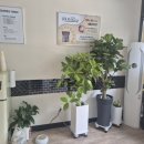 살빼 몸빼 빼빼 이미지