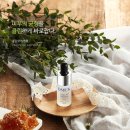 클린베스트고 이미지
