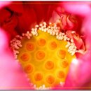 카페카사비앙카 이미지