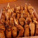 상민농장 이미지