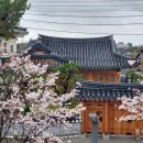 한옥스테이소화 | 경주황리단길숙소 독채 한옥스테이 소화 전통의 매력, 직접 느껴본 후기