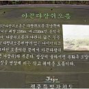 카카오 이미지