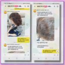 헤베니케힐링헤나샵 | 헤나프로 천사, 세종장군면미용실에서 안전한 염색하고 왔어요!