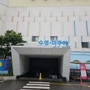 월드수영센터 | 서울 강서구 일요일 자유수영 가능한 수영장, kbs스포츠월드 자유수영 후기!!
