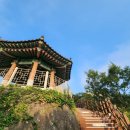 주차장 - 오포대 - 마당바위 - 일등바위(정상) - 이등바위 - 자생식물원 - 달성사 - 주차장 원점회귀