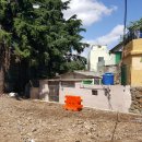 진시장로 이미지