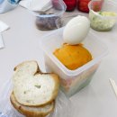 후레쉬 펫 푸드 | 일상들(10월-12월)