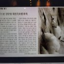 &#34; 然의 저주 : &#39;71. 12. 25. 서울 대연(大然)각 호텔 화재 대참사 &#34; 이미지