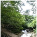 동학농장 이미지