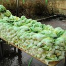 내촌면복지회관 이미지