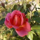 베말공원 이미지