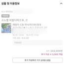 파크뷰2 | 소노벨 비발디파크 패밀리 C동 파크뷰 2박 후기_아이랑 오기 좋은 곳_소노위크 프로모션