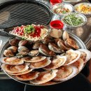 강릉 주문진 조개구이 맛집 불티조개구이 제대로🐚🦪