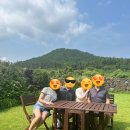 오후만있던일요일 | 제주 이모저모 (숙소 더딘, 오후만있던일요일, 카페말로, 협재수상레저, 스시애월)