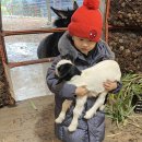 품속농장 이미지