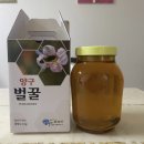 양구벌꿀 이미지