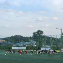 강릉 유아체육 강릉 축구교실 GD스포츠아카데미, 엘리트 운동선수 출신의 체계적인 훈련시스템!
