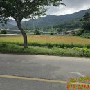 신안 교차로 ~ 해남터널 이미지