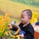 보람아트브레인어린이집 이미지