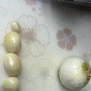 영서정육점