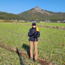 송정마을 이미지