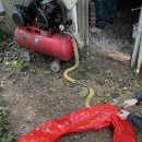 검태회관 이미지