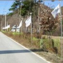 강림면332 이미지