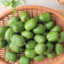 우림농장1 이미지