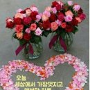 드보라화원 이미지