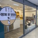 주방에 온 댕댕이 네이버블로그