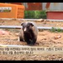 창진농장 이미지