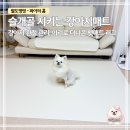더나은펫 | 강아지 매트 추천｜슬개골 걱정 줄여준 이리로 더나은펫매트 후기