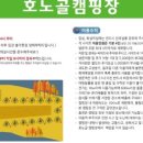 호노골 캠핑장 이미지