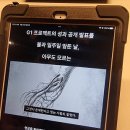 아모레 티스토리