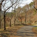 도심건강길 5길 이미지