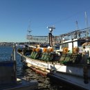 대승목장 이미지