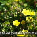 휴팩토리 이미지