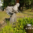 평안꽃식물원 이미지