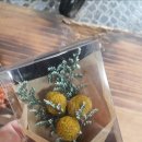 프리저브드 플라워 이미지