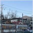 발바닥애견카페 이미지