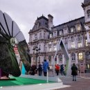 해바라기태양광 이미지