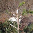 종일농장 이미지