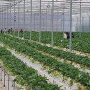 경영농장 이미지