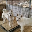 아롱이다롱이 이미지