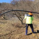 청태농장 이미지