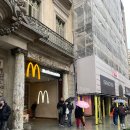 비는 오지 않지만, 우리에겐 우산이 있지 | Ep.5 | 미모사 나무 아래, 깨어진 조각들